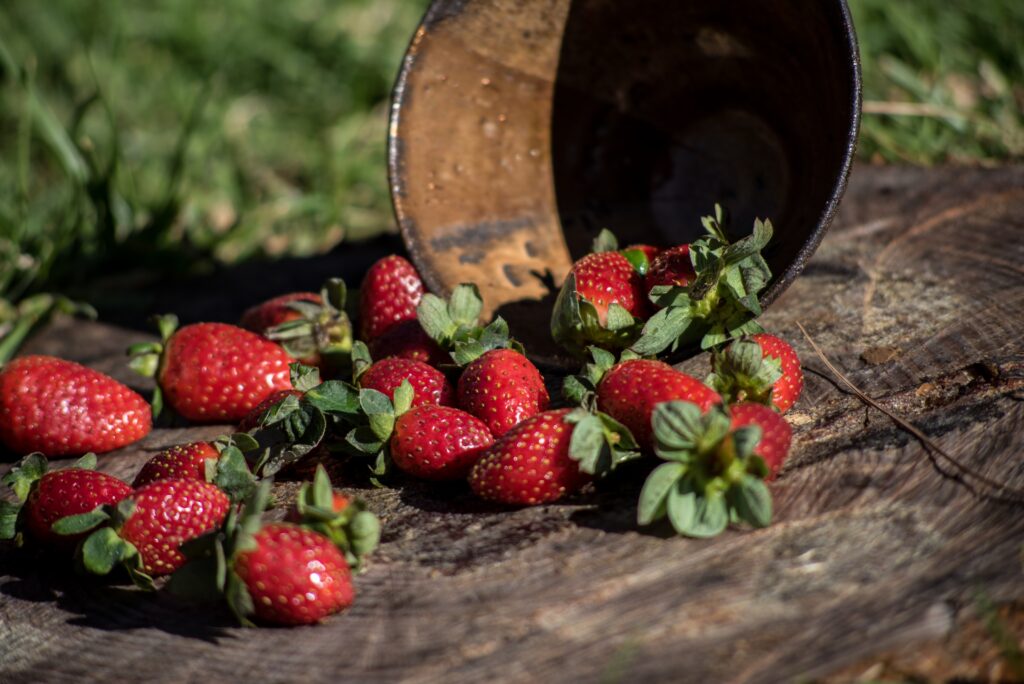 Das RKI zeigt Verbrauchern, was sie bei dem Einkauf von TK-Beeren beachten sollten.