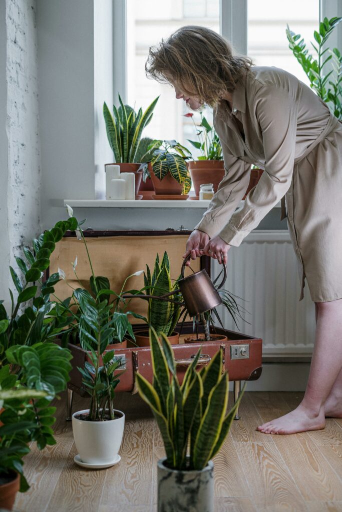 Frau gießt Pflanzen