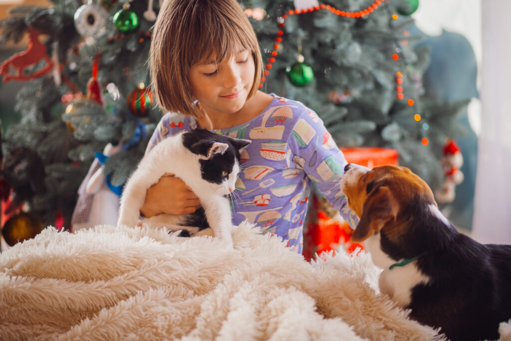 Turbulente Weihnachtszeit, achtet auch auf die Sicherheit eurer Haustiere!