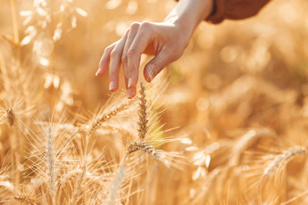 Nur der Verzicht auf das Klebereinweiß Gluten hilft bei der Intoleranz. Getreidesorten wie Mais, Buchweizen oder Johannisbrotkernmehl sind aber glutenfrei.